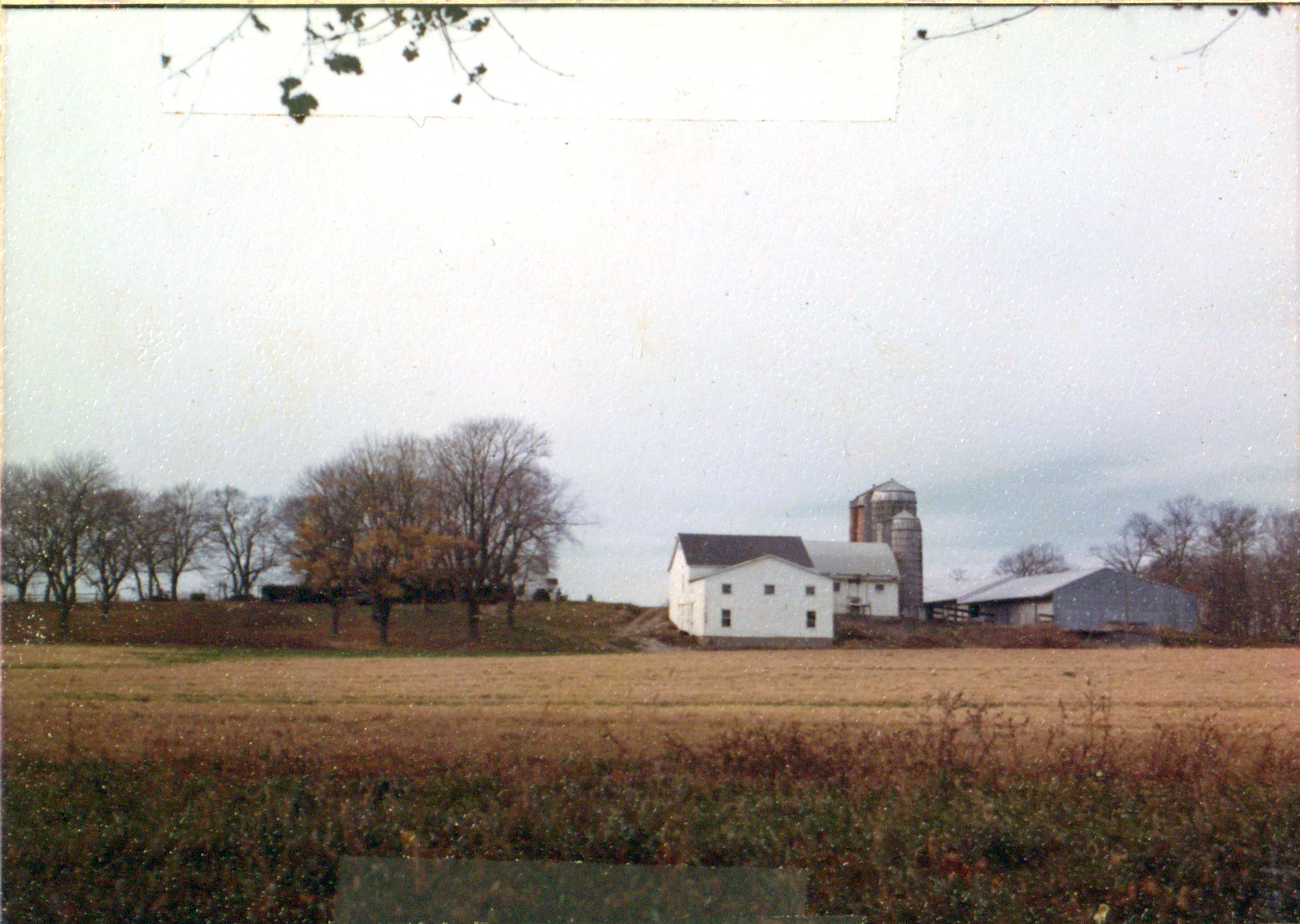 Barns and Silos at Dune Alpin Farm