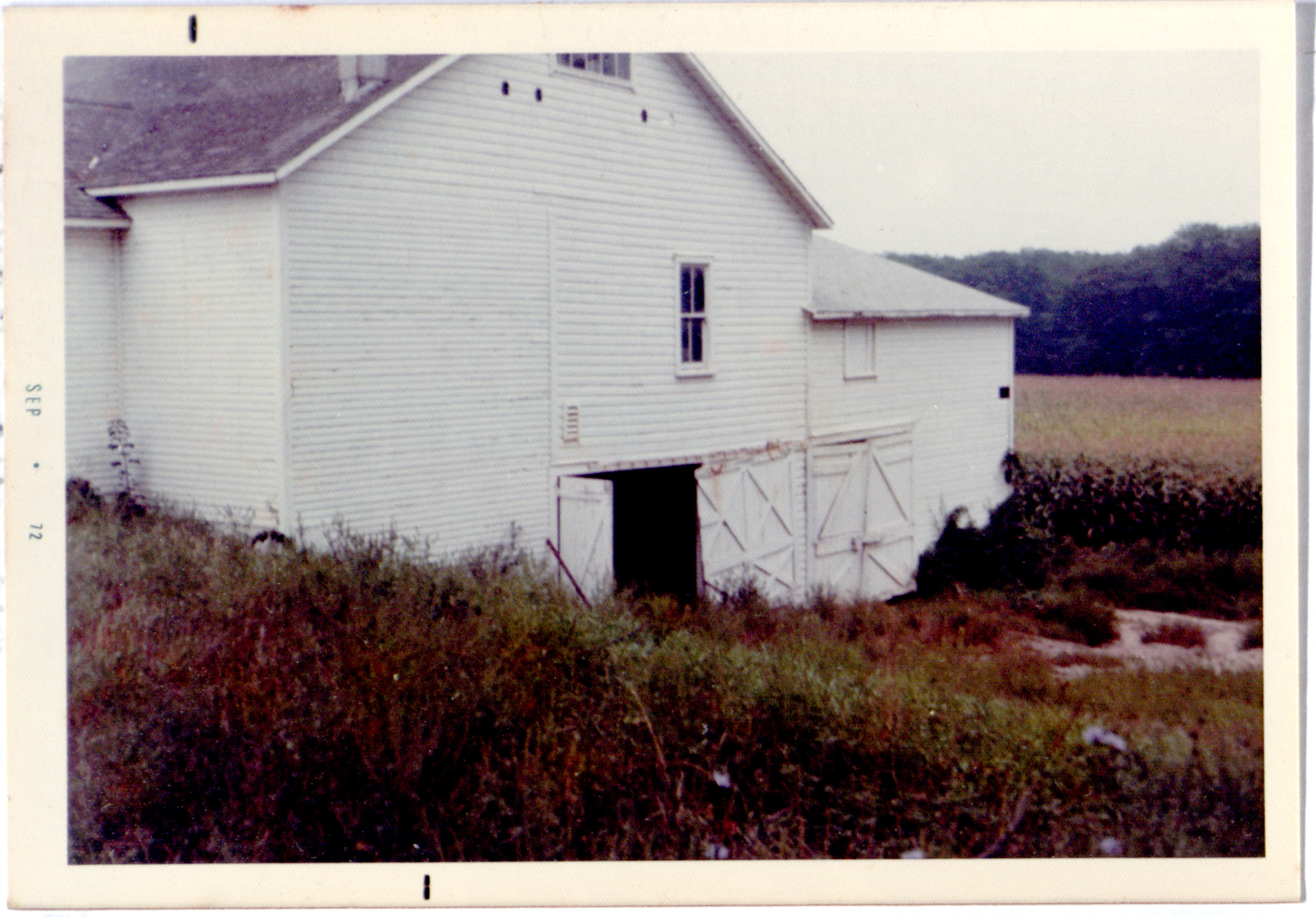 Barn at Dune Alpin Farm